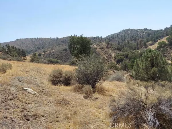 Tehachapi, CA 92561,0 Fox Ridge Court