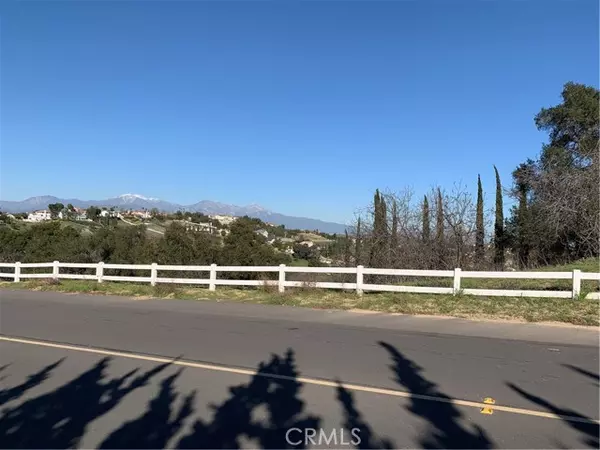 Diamond Bar, CA 91765,2578 Braided Mane Drive