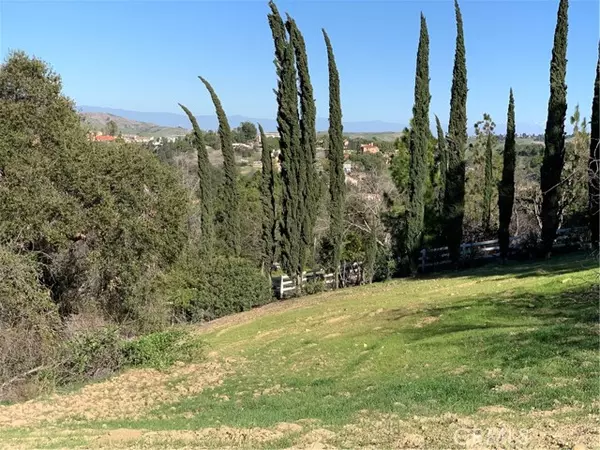 Diamond Bar, CA 91765,2578 Braided Mane Drive