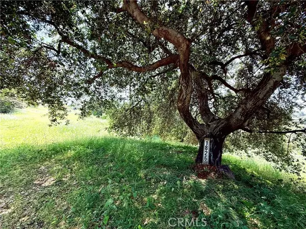 Glendora, CA 91741,1826 Bluebird Road