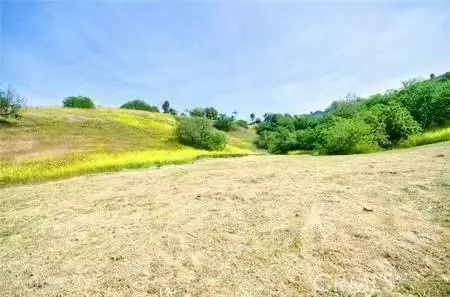 San Dimas, CA 91773,1043 Via Romales