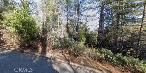 Pine Grove, CA 95665,12105 Blackberry Lane