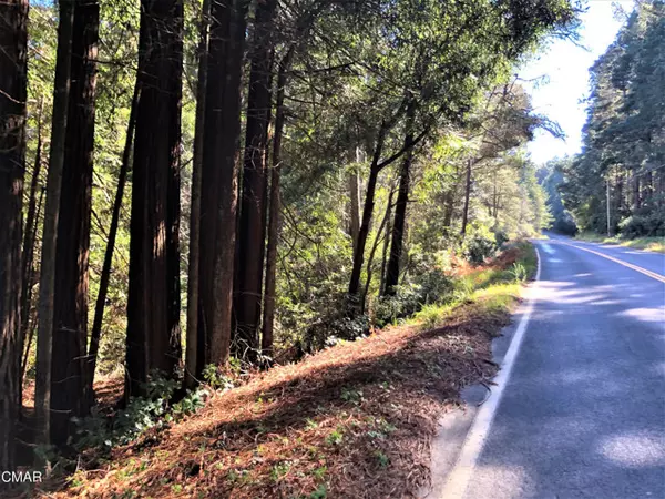 0 Ten Mile Cut Off Road,  Point Arena,  CA 95468