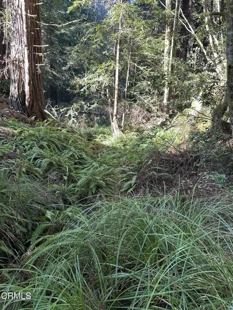 Fort Bragg, CA 95437,17500 Redwood Springs Drive