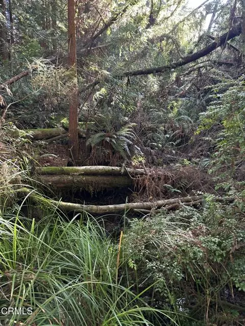 Fort Bragg, CA 95437,17500 Redwood Springs Drive