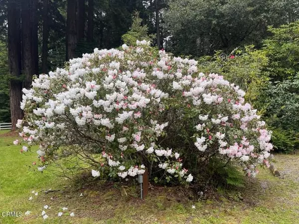 Fort Bragg, CA 95437,19701 Noyo Acres Drive