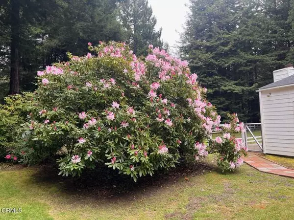 Fort Bragg, CA 95437,19701 Noyo Acres Drive