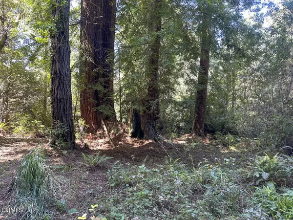 Fort Bragg, CA 95437,31320 Airport Road