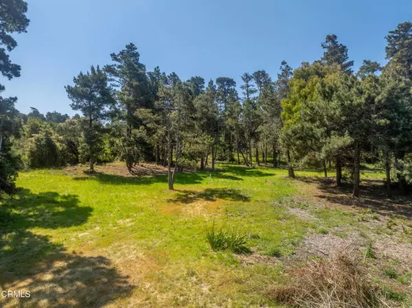 Fort Bragg, CA 95437,32875 Simpson Lane