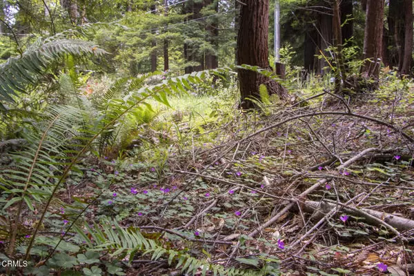 Fort Bragg, CA 95437,32100 Forest Lane