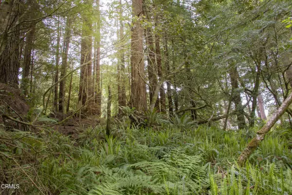 Fort Bragg, CA 95437,32100 Forest Lane