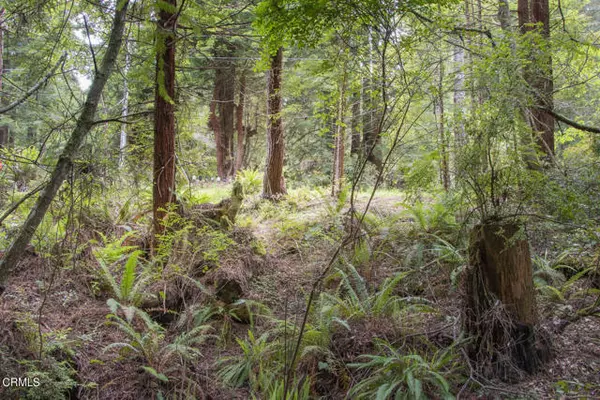 Fort Bragg, CA 95437,32100 Forest Lane