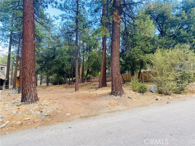 Wrightwood, CA 92397,0 Juniper