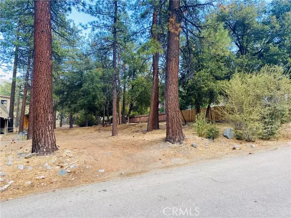 0 Juniper, Wrightwood, CA 92397