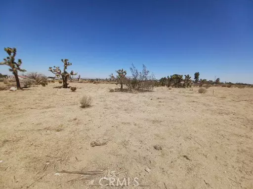 Pinon Hills, CA 92372,11664 Oasis Road