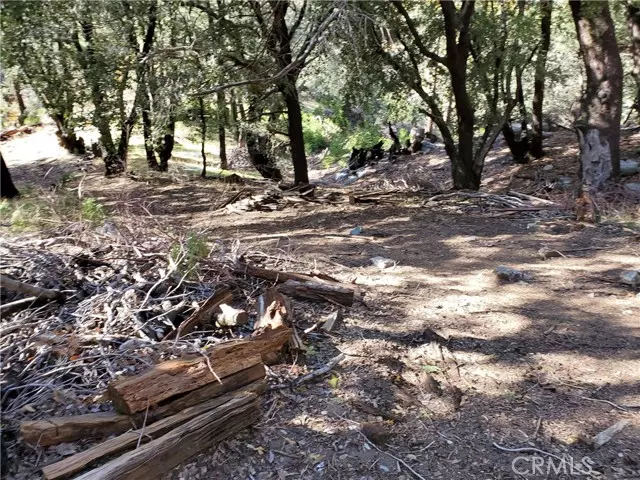 Cedarpines Park, CA 92322,1 Burnt Mill Canyon