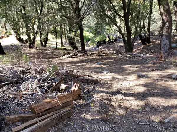 1 Burnt Mill Canyon, Cedarpines Park, CA 92322