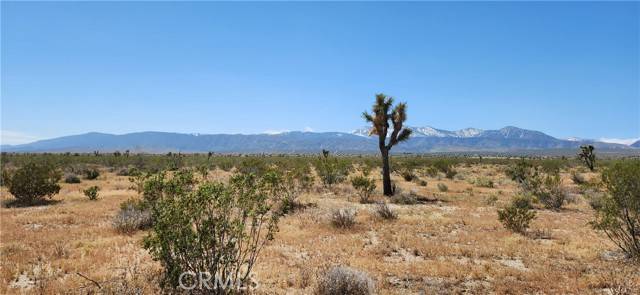Llano, CA 93544,0 Vac/Pb Hwy/Vic 208th Ste