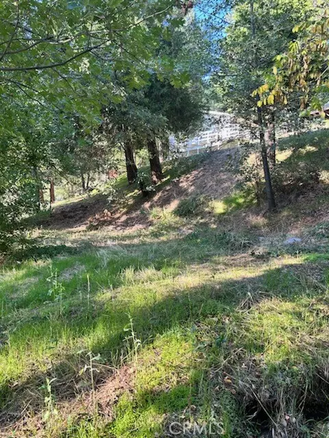 Crestline, CA 92325,0 Cedar Way