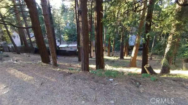 Crestline, CA 92325,0 Crest Forest Drive