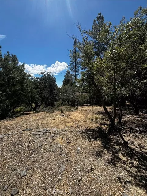 Idyllwild, CA 92561,0 Valley View Dr.