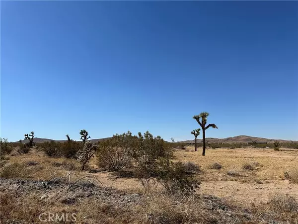 0 Aberdeen Drive, Joshua Tree, CA 92252