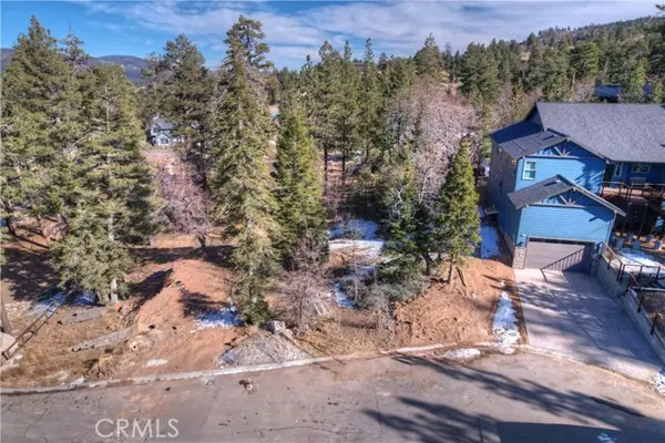 Big Bear Lake, CA 92315,875 Pine Meadow Court