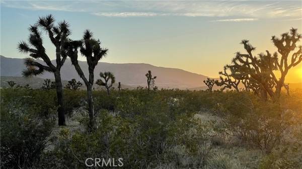 0 Vac/Llano Cut Off/Vic 180th St E, Palmdale, CA 93591