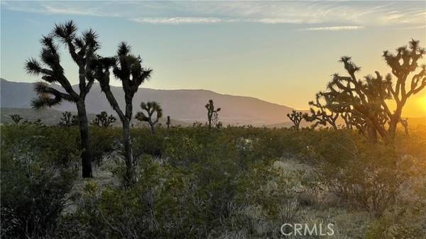 0 Vac/Llano Cut Off/Vic 180th St E, Palmdale, CA 93591