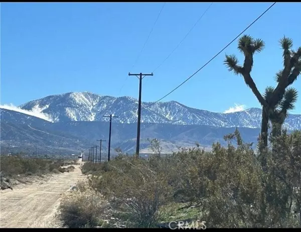 Palmdale, CA 93591,205 Largo Vista Road