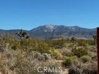 Llano, CA 93544,4 Largo Vista Road