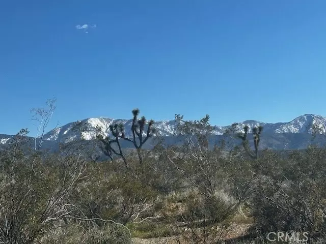 Llano, CA 93544,4 Largo Vista Road