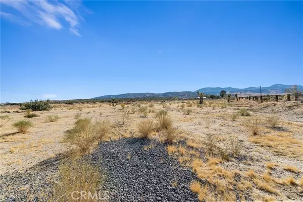 Llano, CA 93544,0 E Avenue Y-4