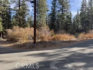 Big Bear City, CA 92314,0 S Saw Mill Drive