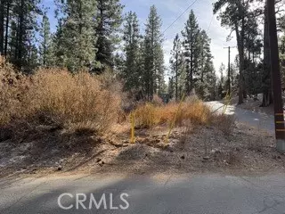 Big Bear City, CA 92314,0 S Saw Mill Drive