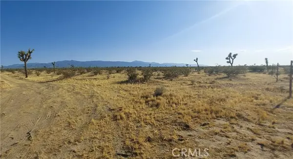 0 APN 3101-291-03-0000, Phelan, CA 92371