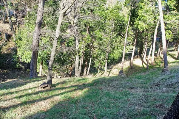 Crestline, CA 92325,24757 Basel Drive