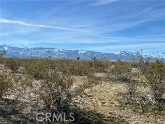 Phelan, CA 92371,0 South Street