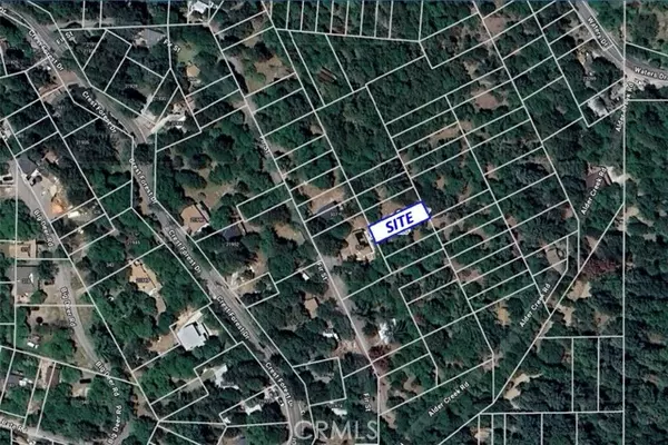 Cedarpines Park, CA 92322,40 Fir Street