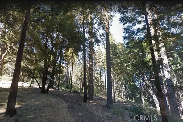 59 Mojave River Road, Cedarpines Park, CA 92322
