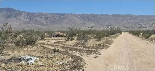 26585 Del Oro Road, Apple Valley, CA 92308