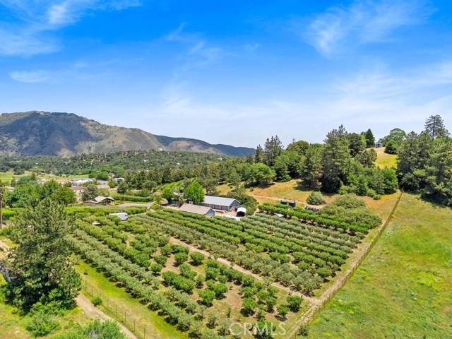 2645 Apple Lane, Julian, CA 92036