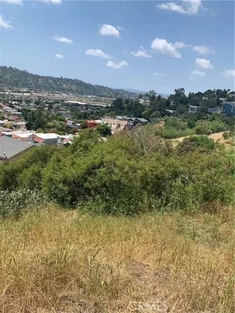 Los Angeles, CA 90065,280 Grand View Ter Mount