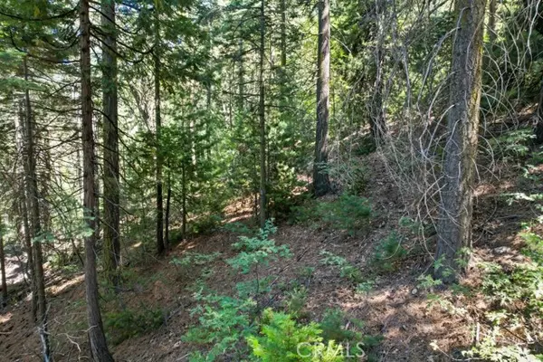 Blue Jay, CA 92317,0 Ca-189