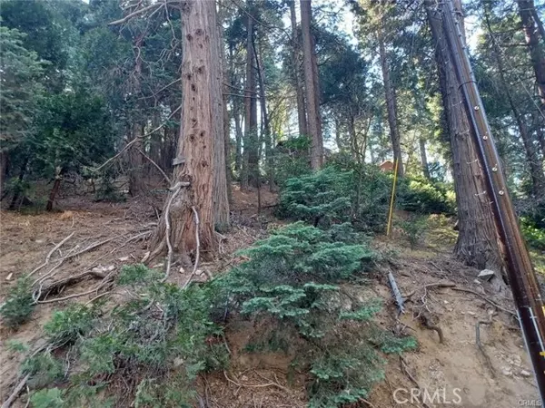 Lake Arrowhead, CA 92352,0 Lake Drive