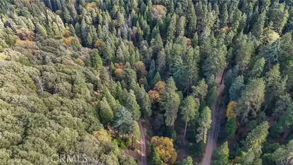 Cedarpines Park, CA 92322,0 Deer Run Road
