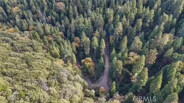 0 Deer Run Road, Cedarpines Park, CA 92322