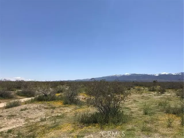 Llano, CA 93591,0 Vac/Cor Avenue U Drt /216