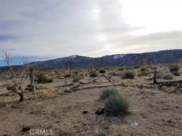 Llano, CA 93544,260 Avenue Z14/260 Ste