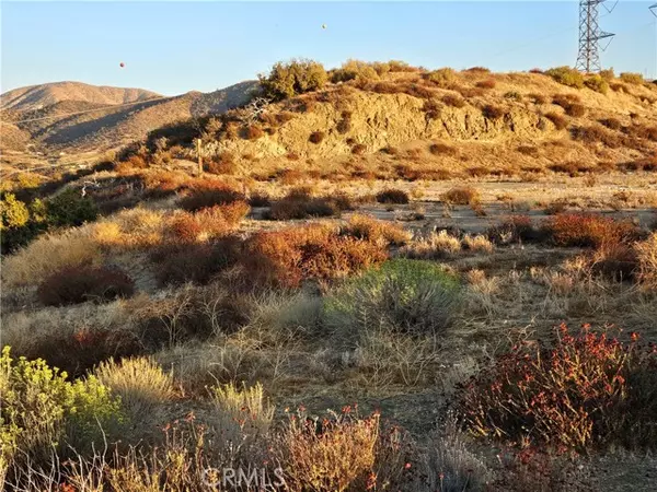 Palmdale, CA 93550,0 Angeles Forest